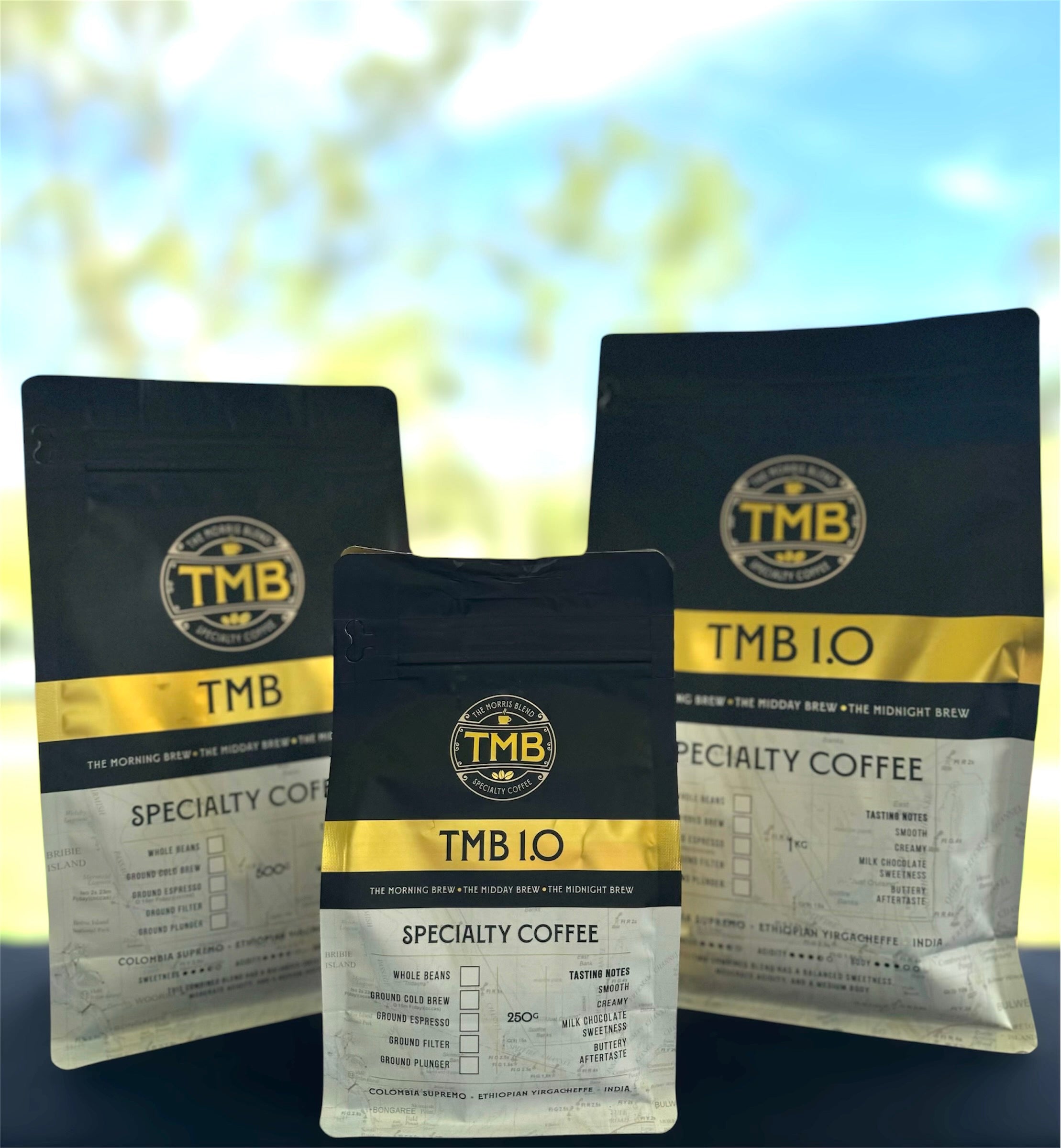 TMB 1.0